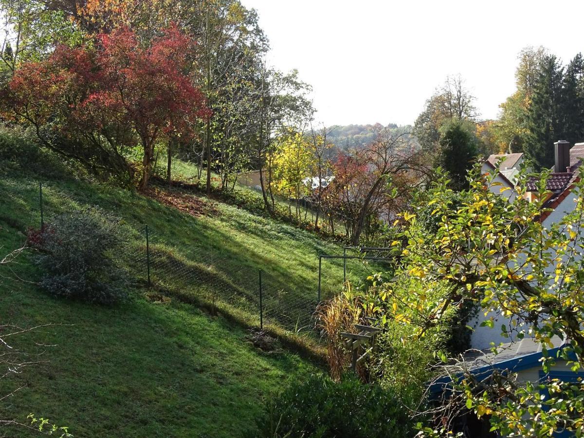 Ferienwohnung Beim Burgberg Bad Abbach Exterior foto